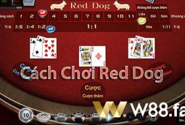 Khám phá cách chơi game bài Red Dog tại W88