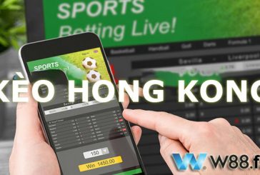 Tìm hiểu về tỷ lệ cược Hong Kong khi chơi cá độ bóng đá